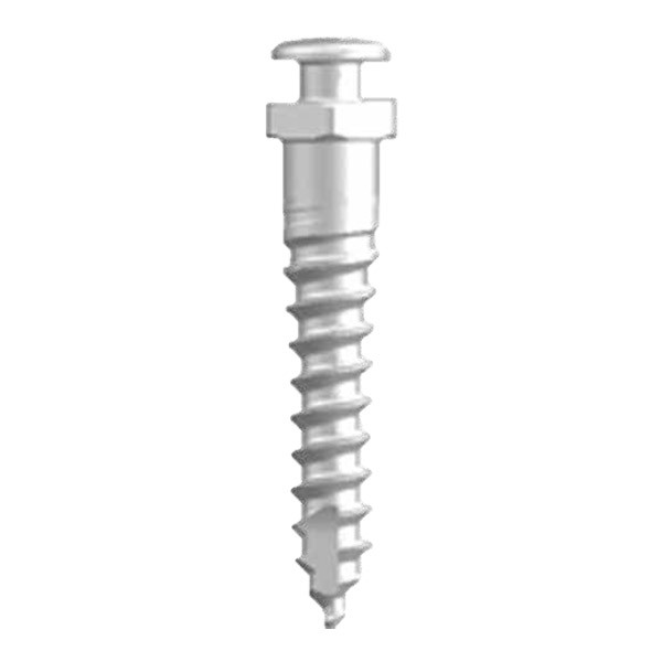 Ortho screw